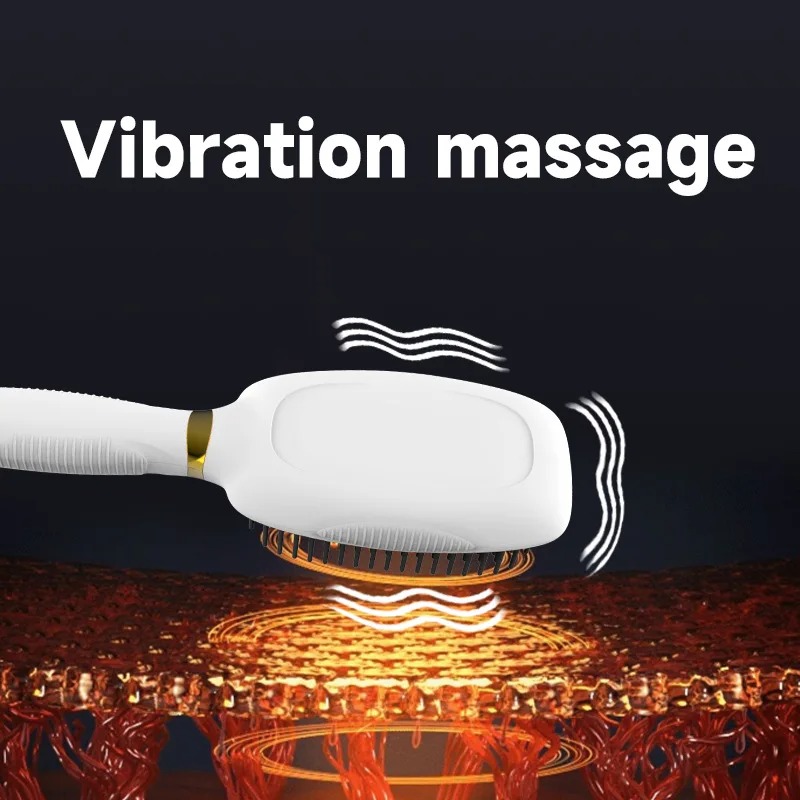 Electric Anti static Hair Comb - Hair Care Growth 评论和价格